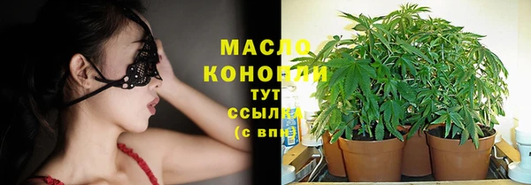 spice Аркадак