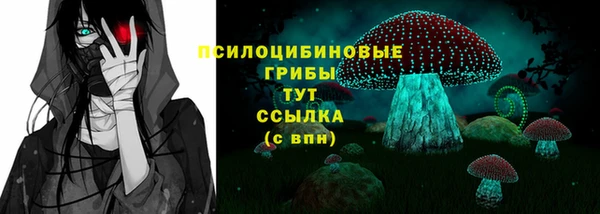 твердый Арсеньев