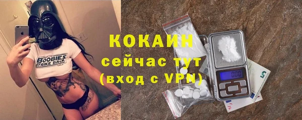 spice Аркадак