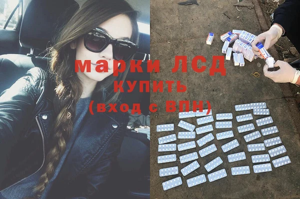 spice Аркадак