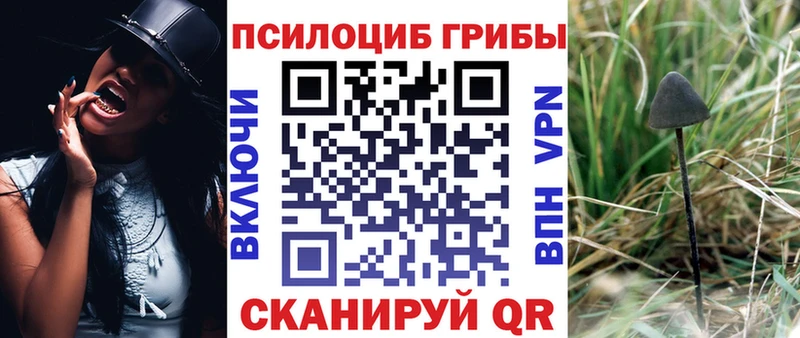 купить   hydra как зайти  Псилоцибиновые грибы ЛСД  Людиново 